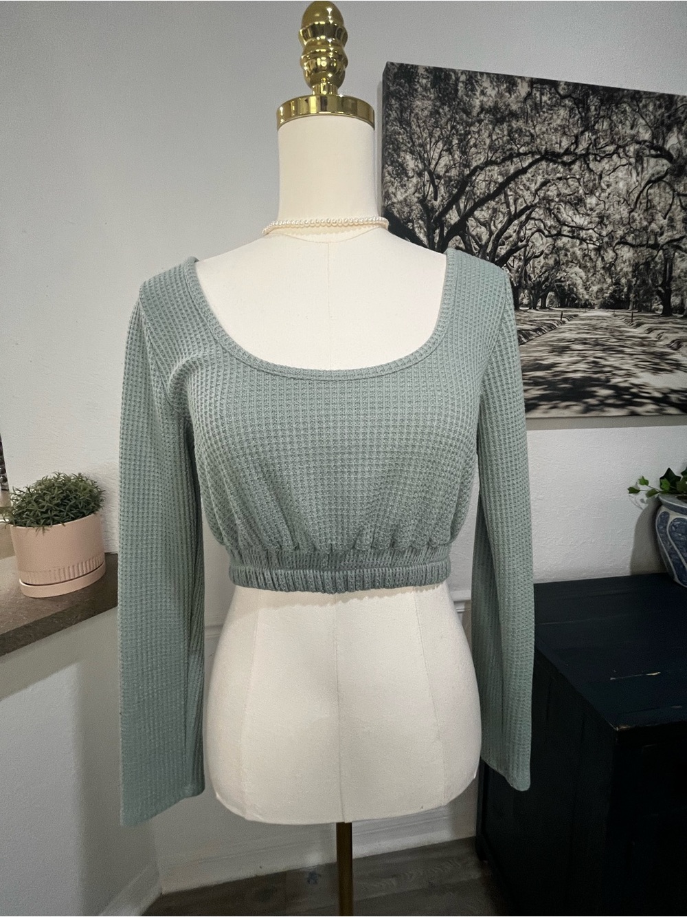 Forever 21 Waffle Knit Cropped Top in Sage